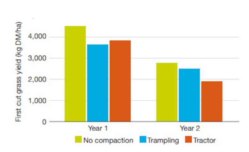 First-cut grass yield over two years on plots compacted by trampling, tractor and a non-control.